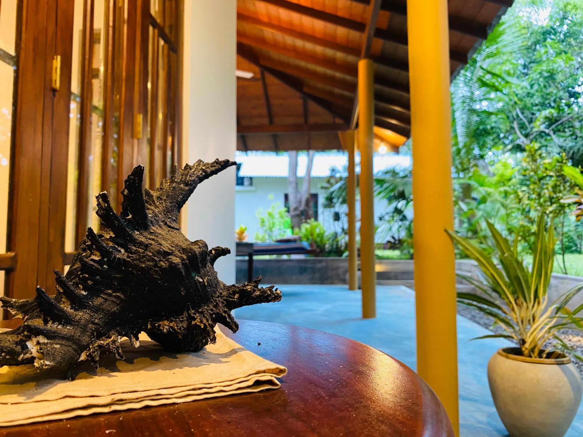See Turtle Villa Тангале Екстериор снимка